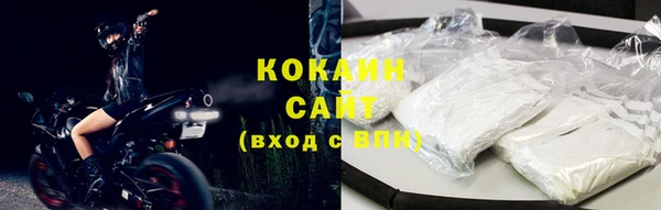 сатива Абаза